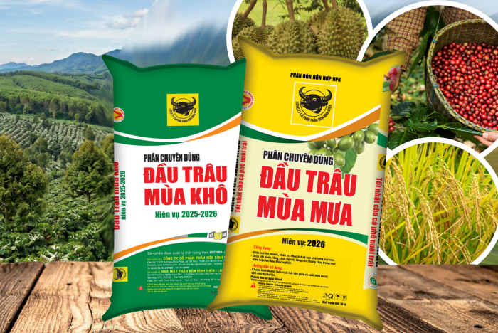 dau_trau_chuyen_dung_xl.png